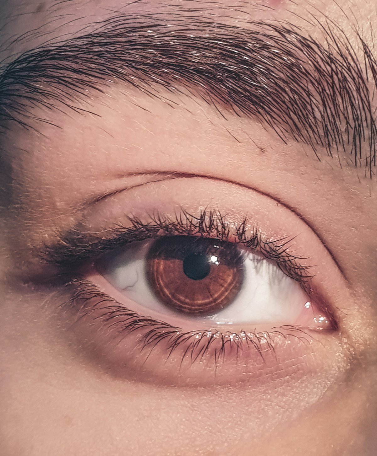 Micropigmentación y microblading